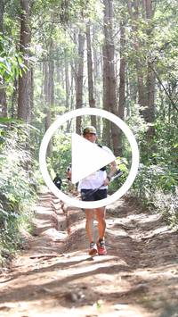 BIB:  <button type="button" onclick="openModal(26569461)" class="btn btn-primary btn-sm float-right" data-toggle="modal" data-target=".modal-high-quality">
                <i class="fa fa-download"></i> Download
                </button>